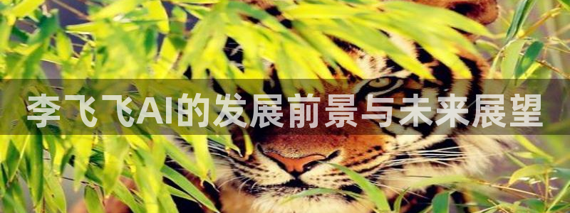 李飞飞AI的发展前景与未来展望