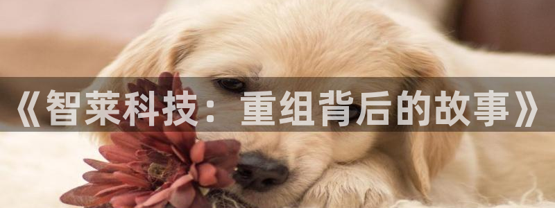 《智莱科技：重组背后的故事》