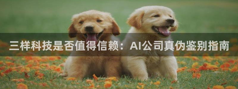 三样科技是否值得信赖：AI公司真伪鉴别指南