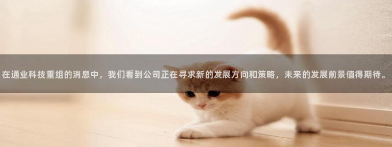 在通业科技重组的消息中，我们看到公司正在寻求新的发展方向和策略，未来的发展前景值得期待。