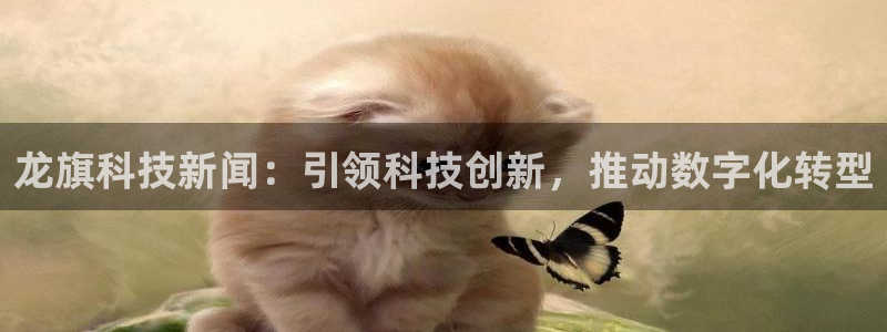 龙旗科技新闻：引领科技创新，推动数字化转型