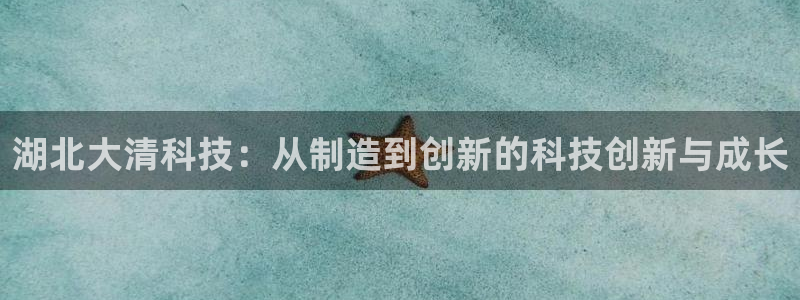 湖北大清科技：从制造到创新的科技创新与成长