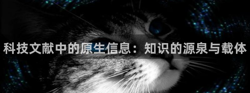 科技文献中的原生信息：知识的源泉与载体