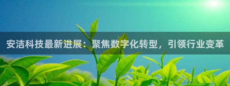 安洁科技最新进展：聚焦数字化转型，引领行业变革