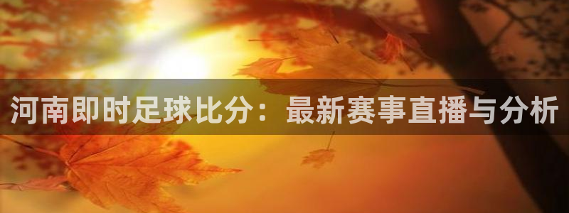 河南即时足球比分：最新赛事直播与分析