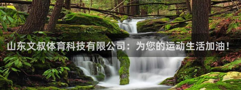 山东文叔体育科技有限公司：为您的运动生活加油！