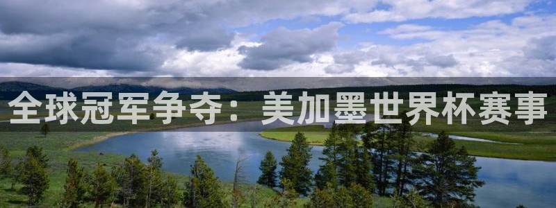 全球冠军争夺：美加墨世界杯赛事