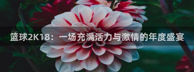 篮球2K18：一场充满活力与激情的年度盛宴