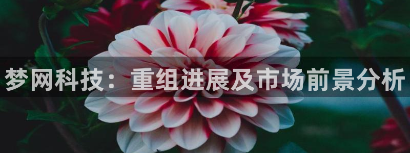 梦网科技：重组进展及市场前景分析