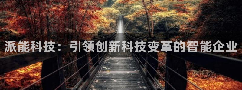 派能科技：引领创新科技变革的智能企业