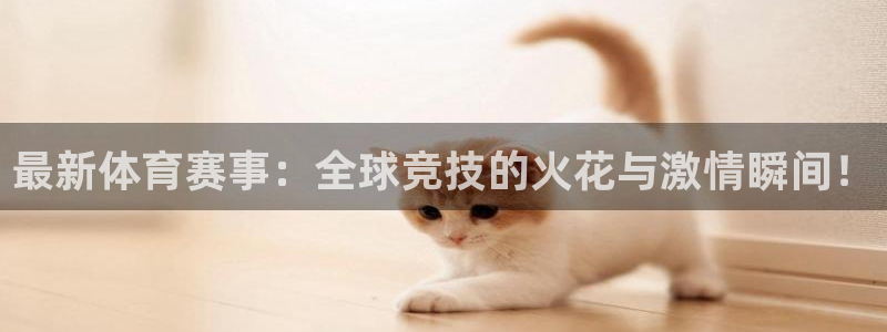 最新体育赛事：全球竞技的火花与激情瞬间！