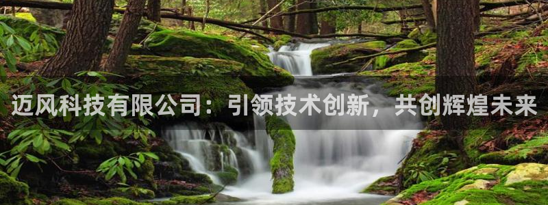 迈风科技有限公司：引领技术创新，共创辉煌未来